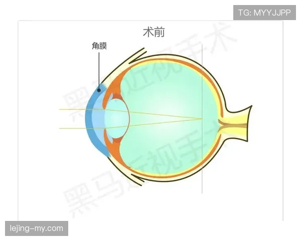 一篇看懂篮球规则:手部接触判定到底是犯规还是正当防守? 一篇看懂篮球规则:手部接触判定到底是犯规还是正当防守?